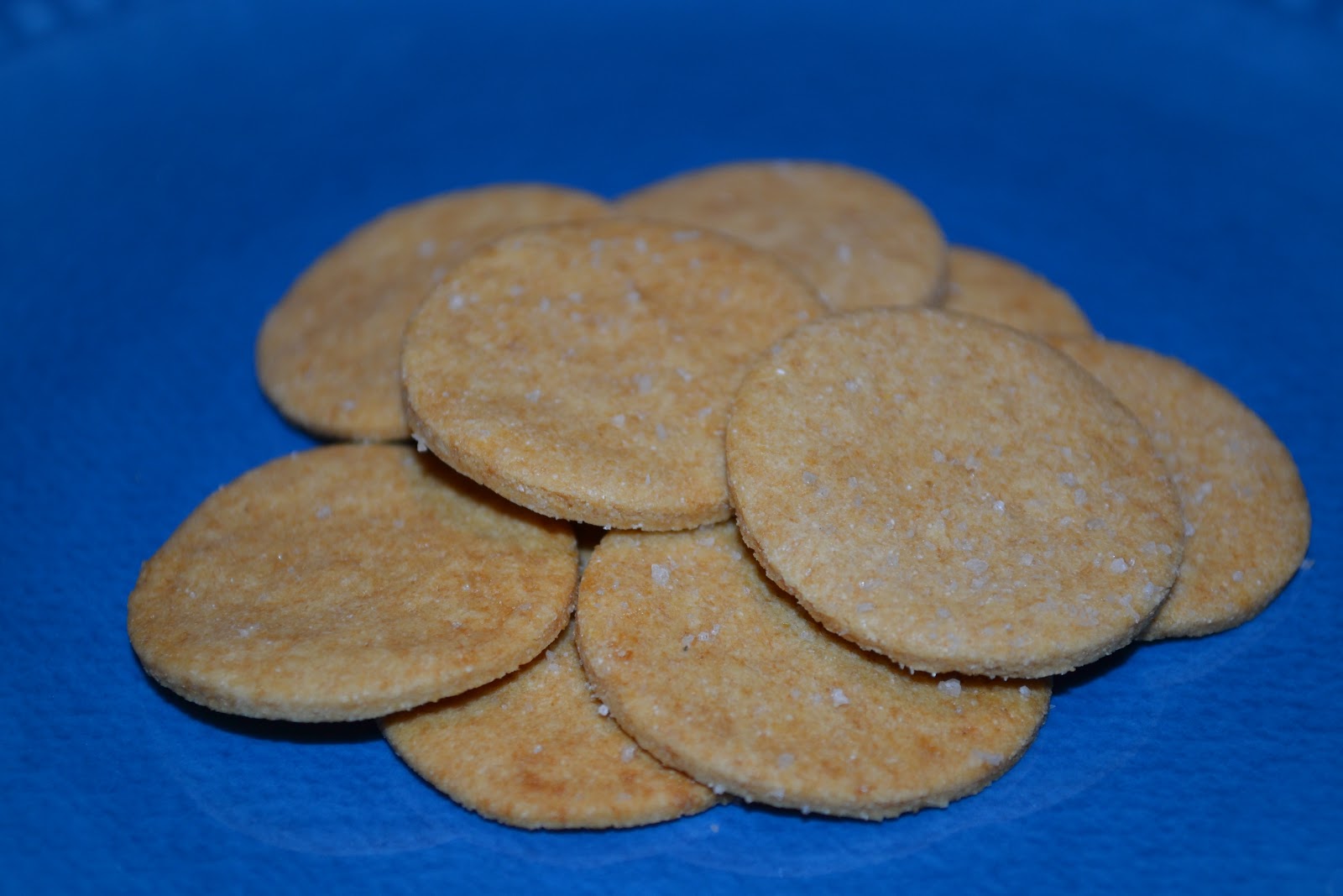 Homemade Dutch Apple Pie Gluten Free Crackers (dairy free, nut free