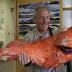  اصطياد أقدم سمكة عمرها 200 سنة