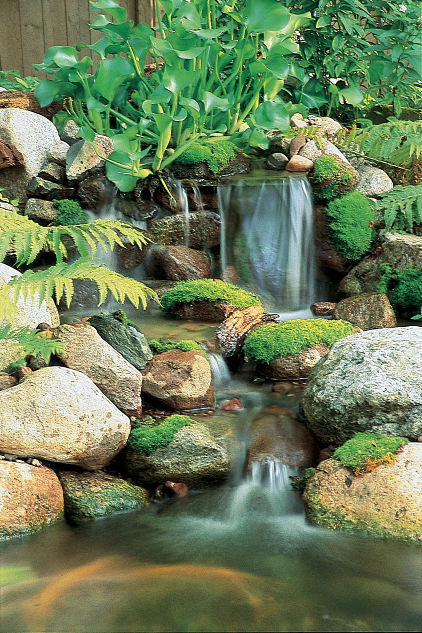 Waterfalls: The Perfect Abode for Moss - C.E. Pontz Sons Landscape