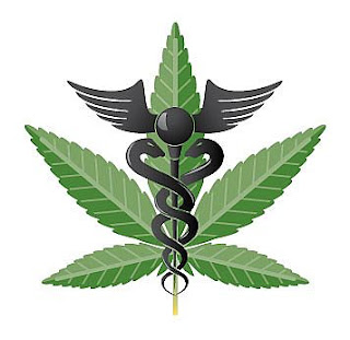 maconha medicinal maconha medicinal