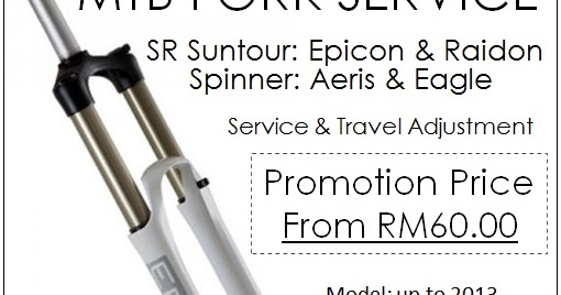 mtb fork service