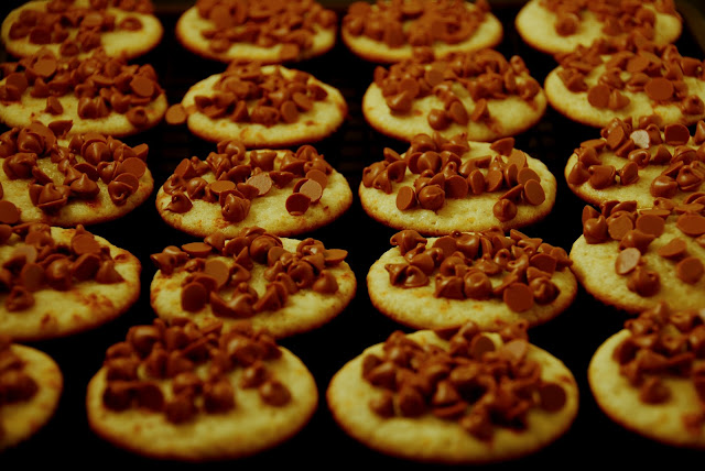 close up of pan of cupcakes with morsels on top