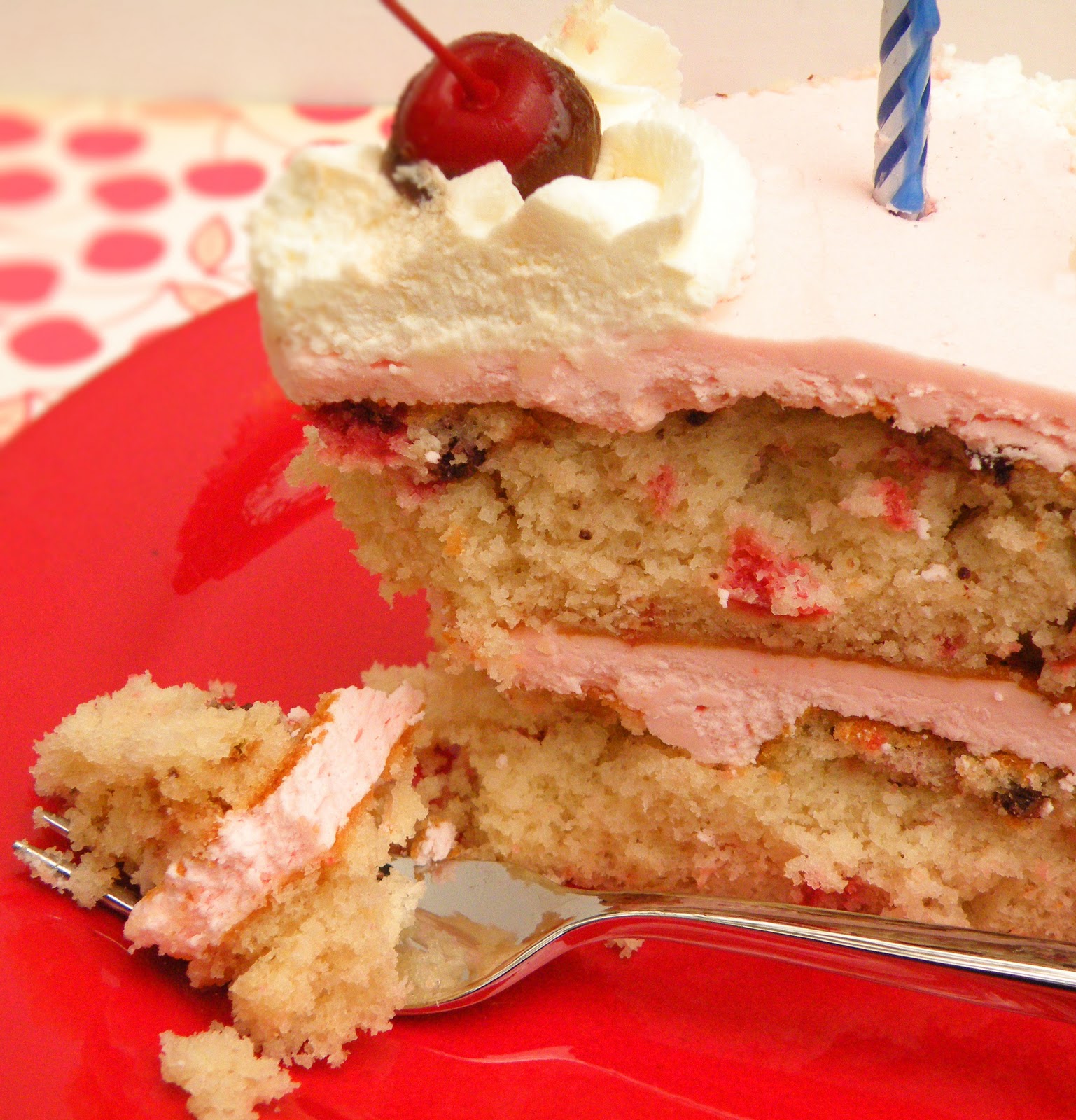 Vittles and Bits Chocolate Chip Cherry Cake