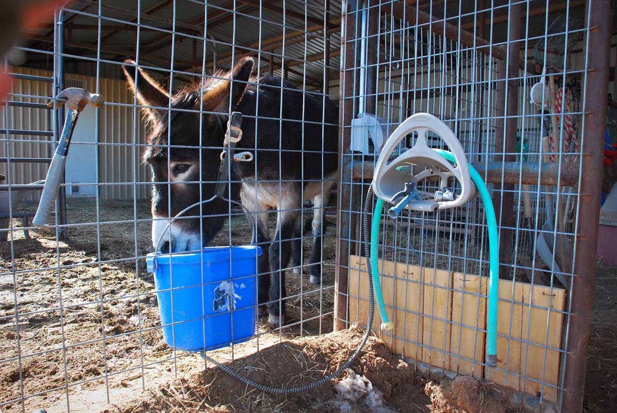 The 7MSN Ranch The art and science of watering livestock in winter