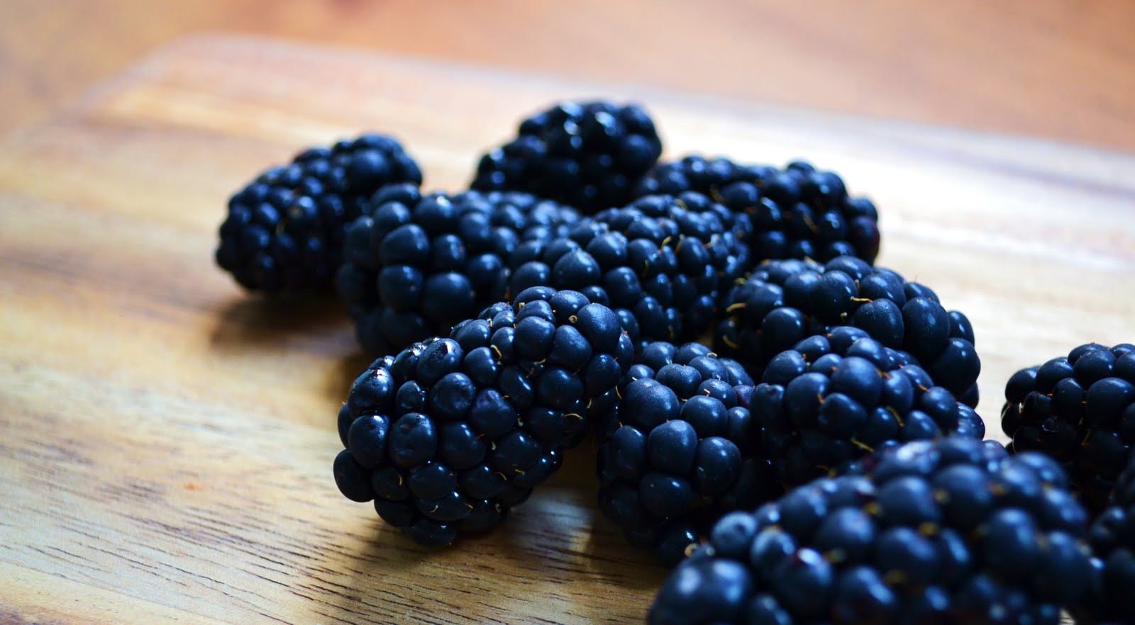 Nourish The Roots Whole Wheat Blackberry Muffins