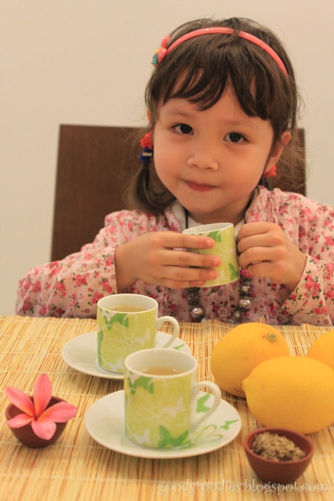 GoodyFoodies Recipe Natural CoughControl Tea