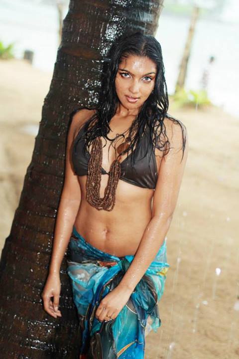 Natasha Rathnayake hot photos | Forum | Lankafreezone.com ... Natasha Rathnayake hot photos | Forum | Lankafreezone.com ...