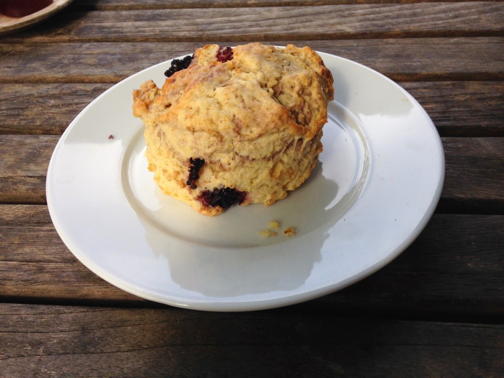 Flatford scone of the month Flatford scone of the month