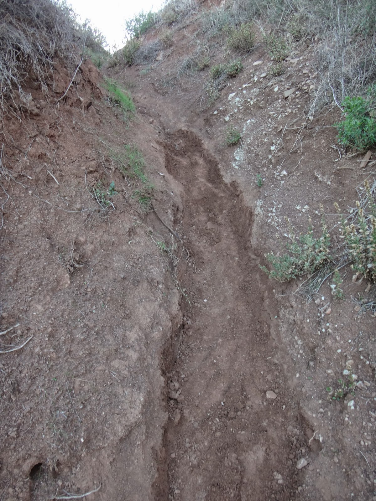 Multiuse Trails Coalition Arroyo Burro Erosion Control