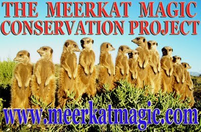 The Meerkat Magic Conservation Project