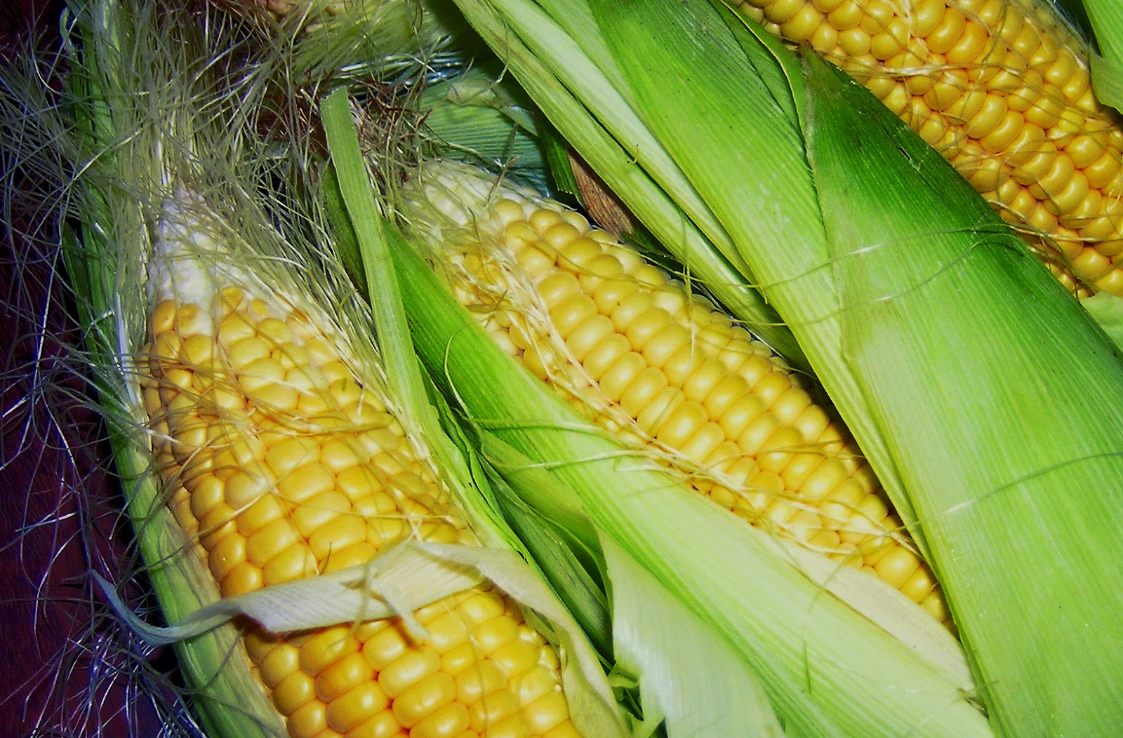 Are Wasa Crackers Good For Diabetics