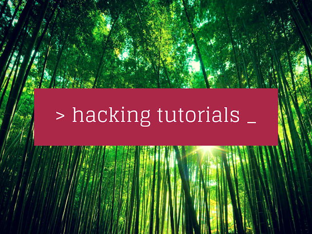 Best Hacking Tutorials