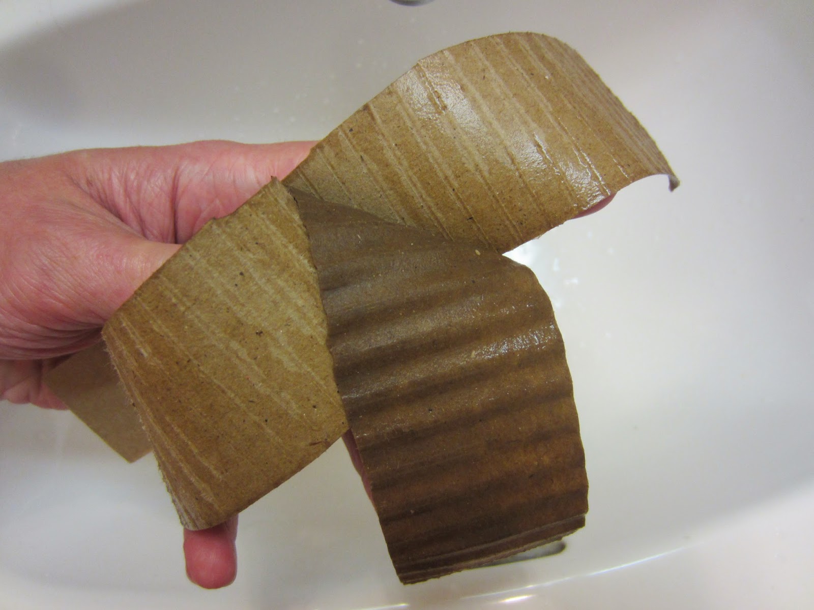 Wet Cardboard It's gross.