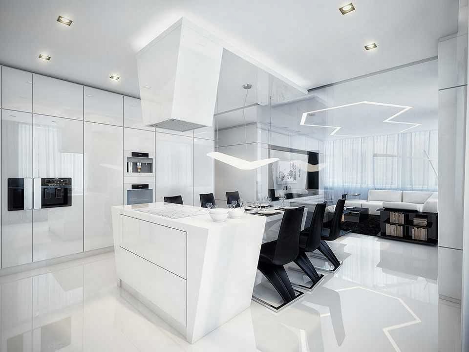 Futuristic black and white apartment color