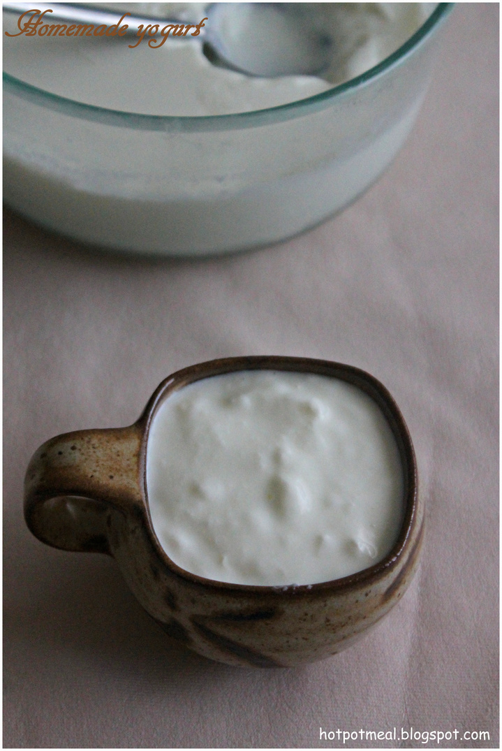 Hot pot cooking Yogurt rice Curd rice / Homemade yogurt