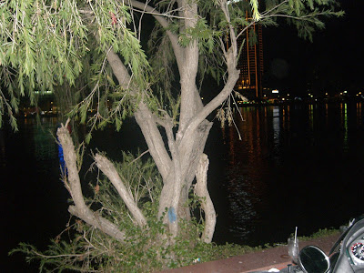 Cảnh này ở đâu ? - 19