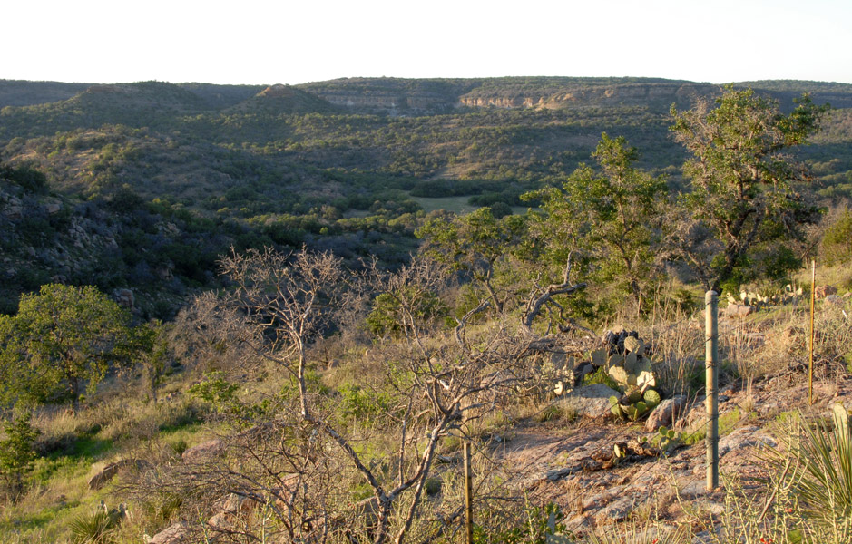 Tail Lights The Willow City Loop!