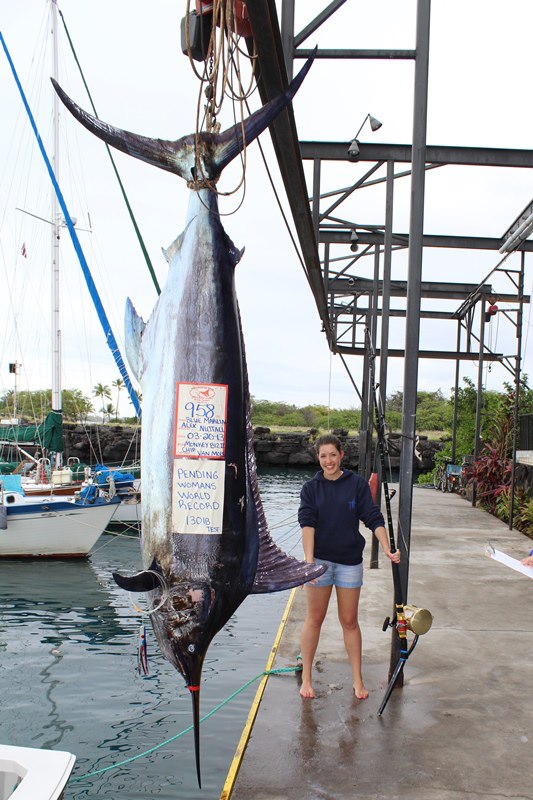 International Fishing News HAWAII pending world record marlin landed