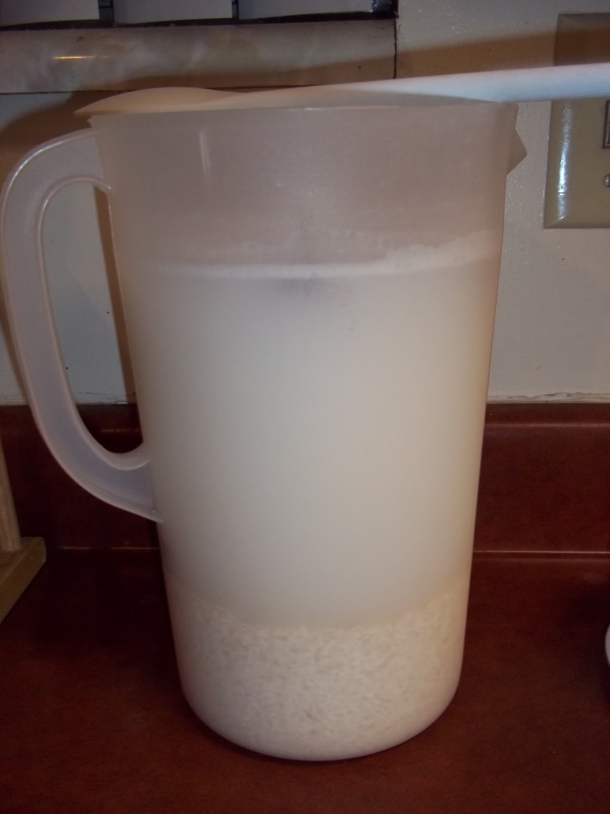The Daily Smash Horchata ( Mexican rice milk)