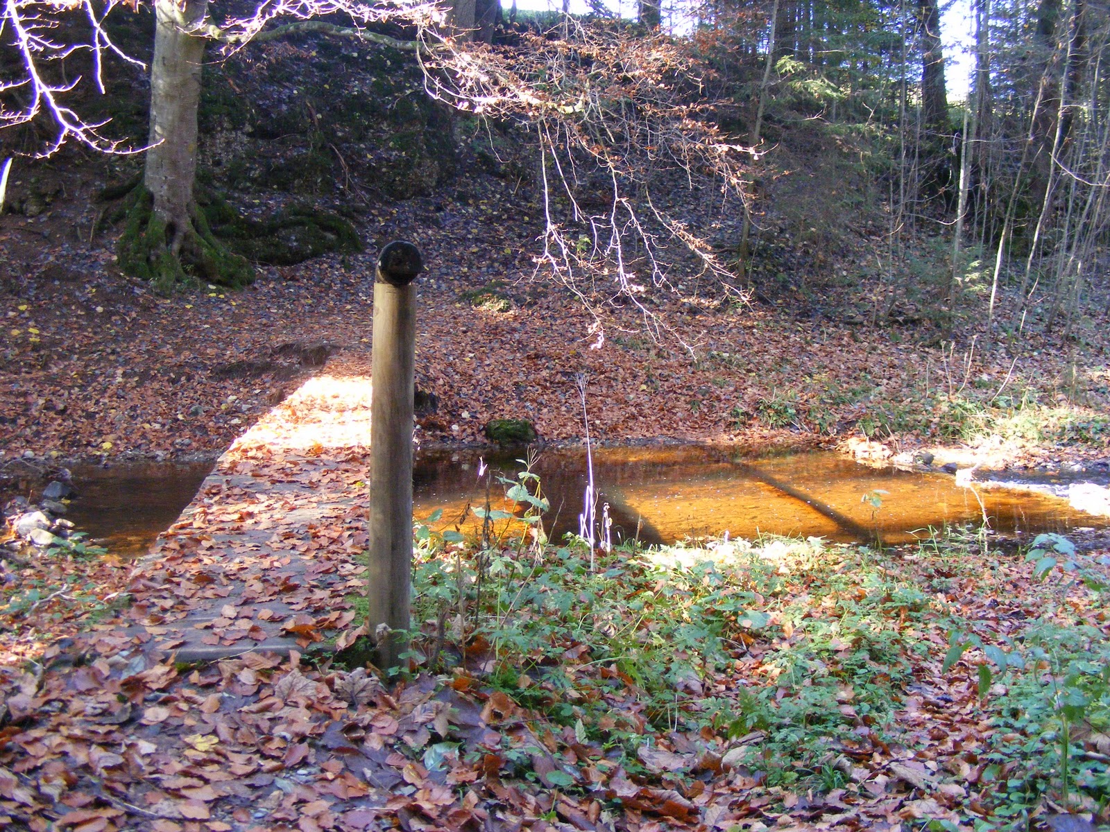 Landurlaub Schwangau Oktober 2011