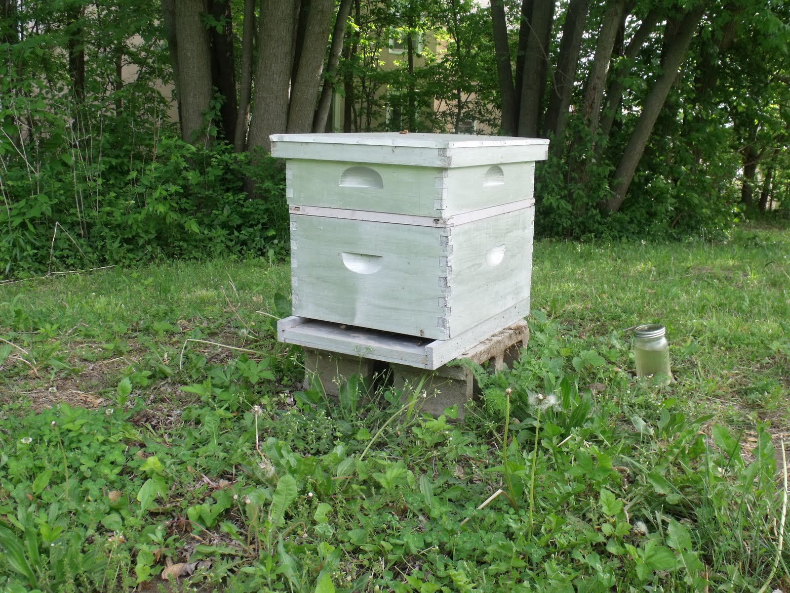 Artisan Farmstead Living Setting Up a Beehive Part 2