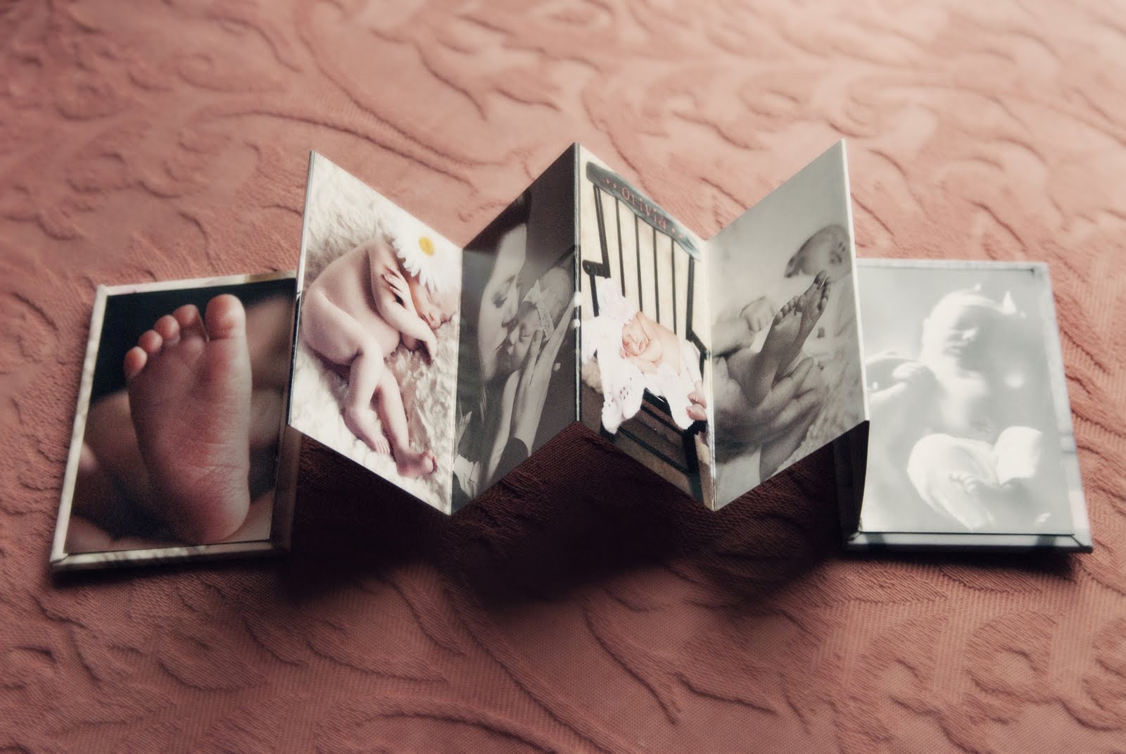 Reno Tahoe Cabo Photographer; Portrait Artist Skye Snyder