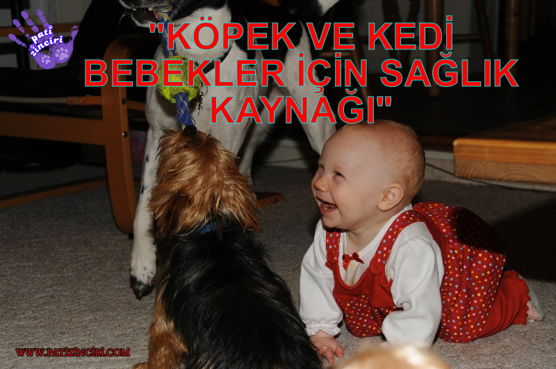 PATİZİNCİRİ "KEDİ VE KÖPEK " BEBEKLER İÇİN SAĞLIK KAYNAĞI