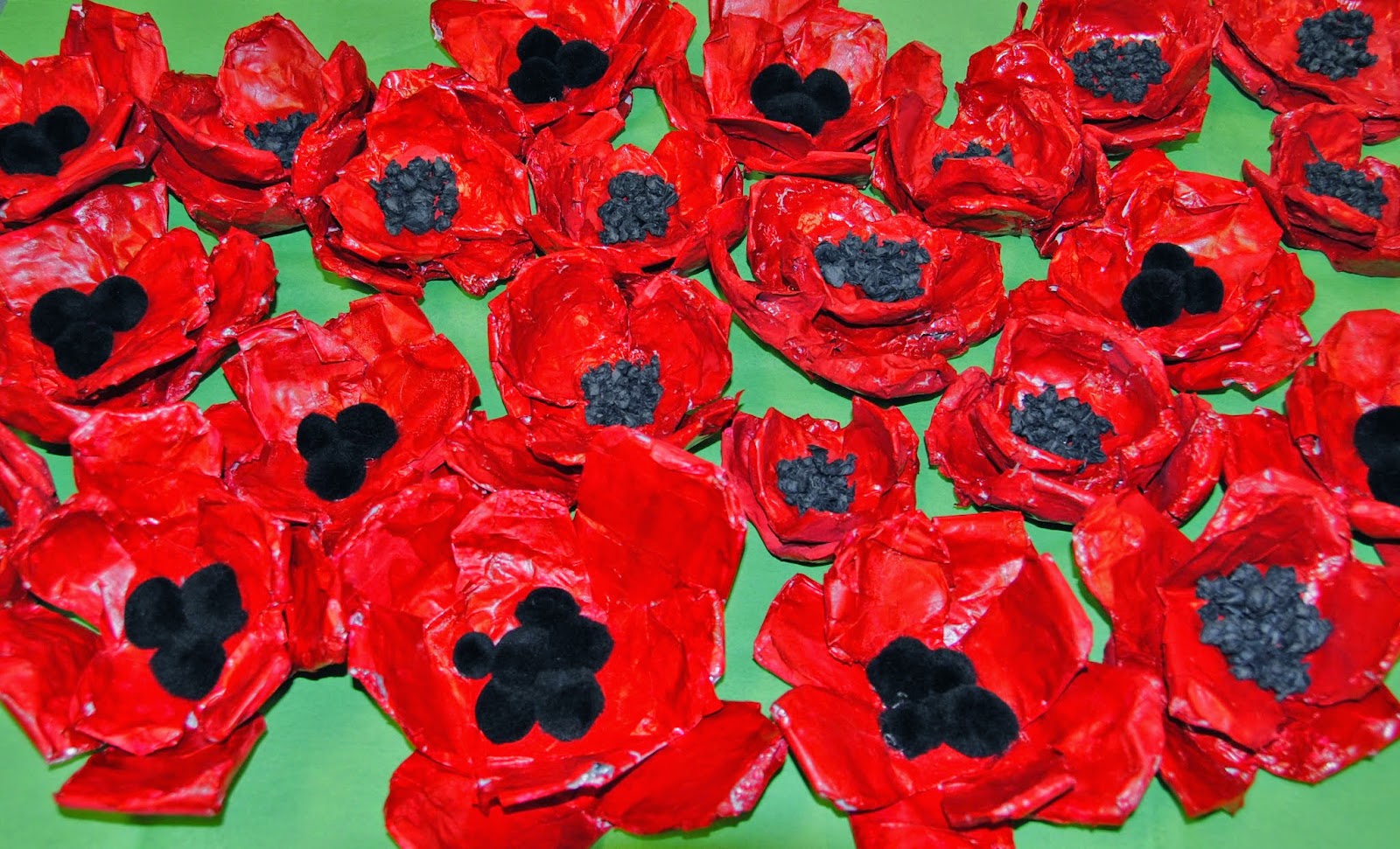 Ruth Daly Author Poppies An Art Project for Remembrance Day