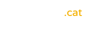 Manel Ferrer | El web d'en Manel Ferrer