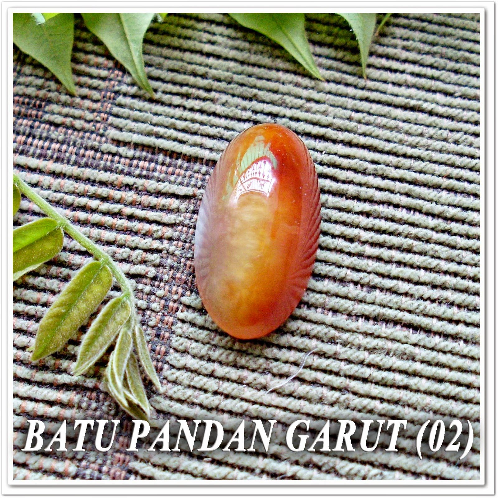 http://batuakik84.blogspot.com/2014/10/batu-akik-pandan-garut-02.html
