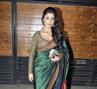 Actress Shriya Saran in Hot Saree Photos Gallery