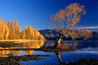 Lake+Wanaka,+New+Zealand 2007   The John Addison Trophy