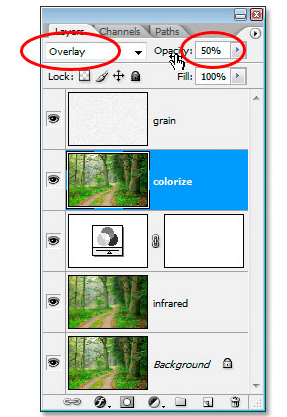 Cara Mudah Membuat Efek Infrared dengan Photoshop Cara Mudah Membuat Efek Infrared dengan Photoshop