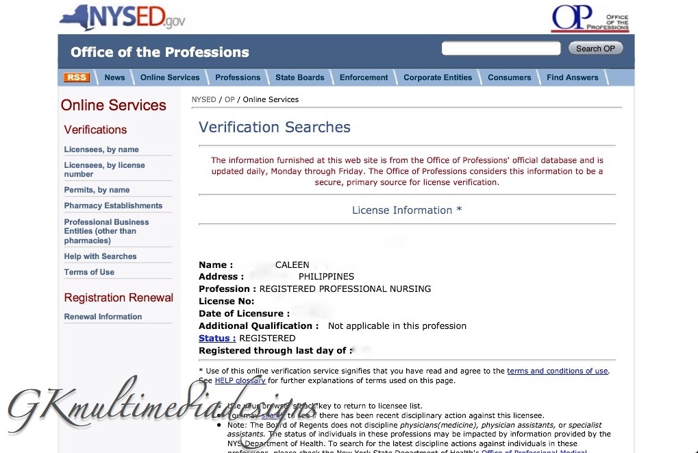 Anything Under The Sun How I Applied for a New York, USA Nursing License