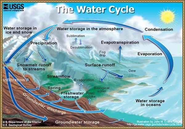 The Water Cycle