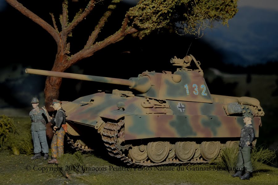 PANTHER ausf F