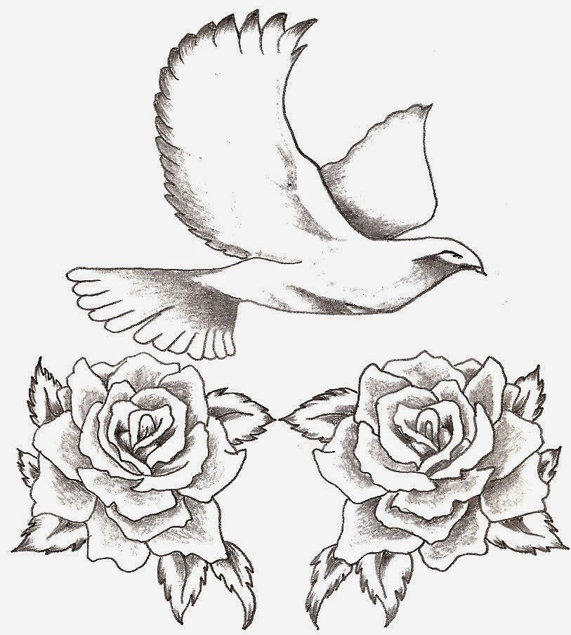 time of the doves If you're interested in learning more about doves and what it takes to be an owner, then read on for this interesting species profile. time of the doves If you're interested in learning more about doves and what it takes to be an owner, then read on for this interesting species profile.