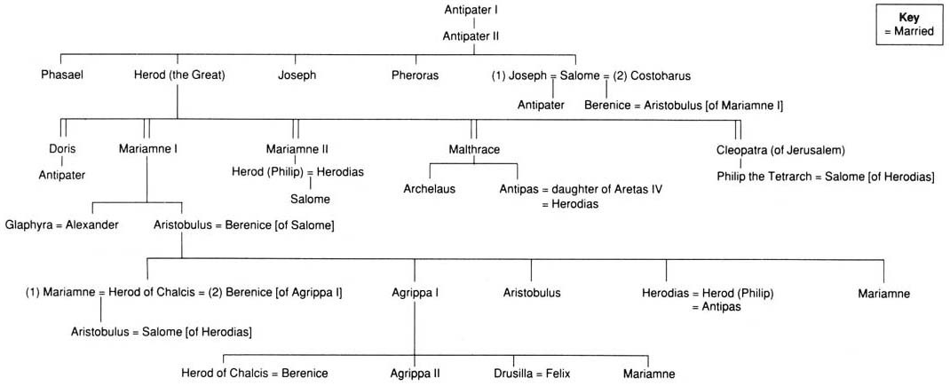 bible genealogy tree