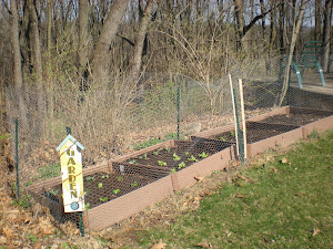 Spring Gardening