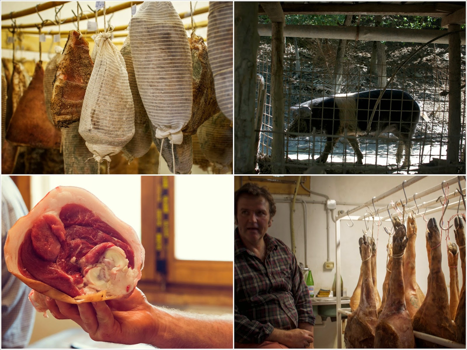 Old World Butchery Course with Artisans & Farmers in Italy, La Tavola Marche