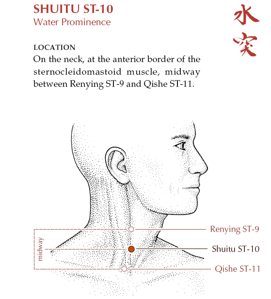 Acupuncture Masters Acupuncture Points Database Stomach channel
