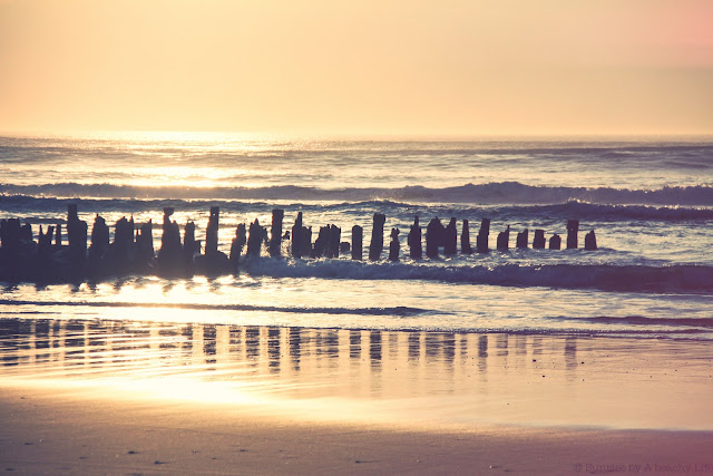 sunset,hossegor