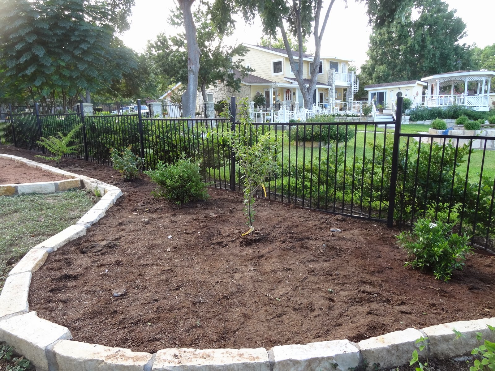 Landscaping Along Fence Line - Landscape Ideas