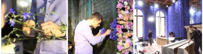 Mark Colle Mark Colle