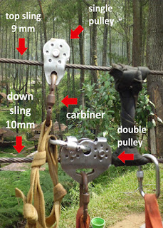 ともだち(tomodachi): Flying Fox