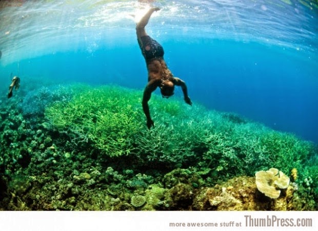 Solomon Islands picture