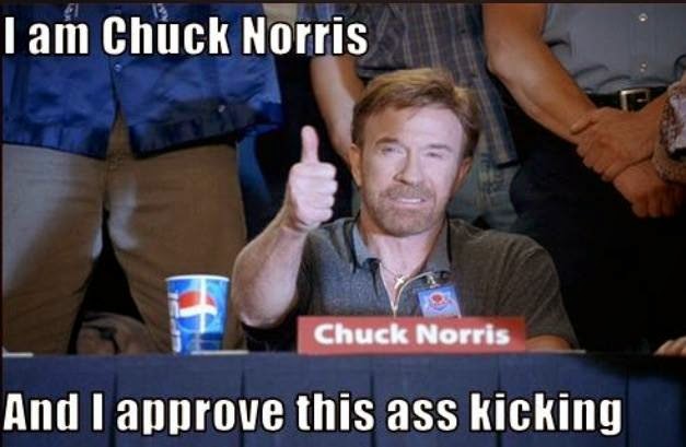 I%2Bam%2BChuck%2BNorris%2Band%2BI%2Bapprove%2Bthis%2Bass%2Bkicking.jpg
