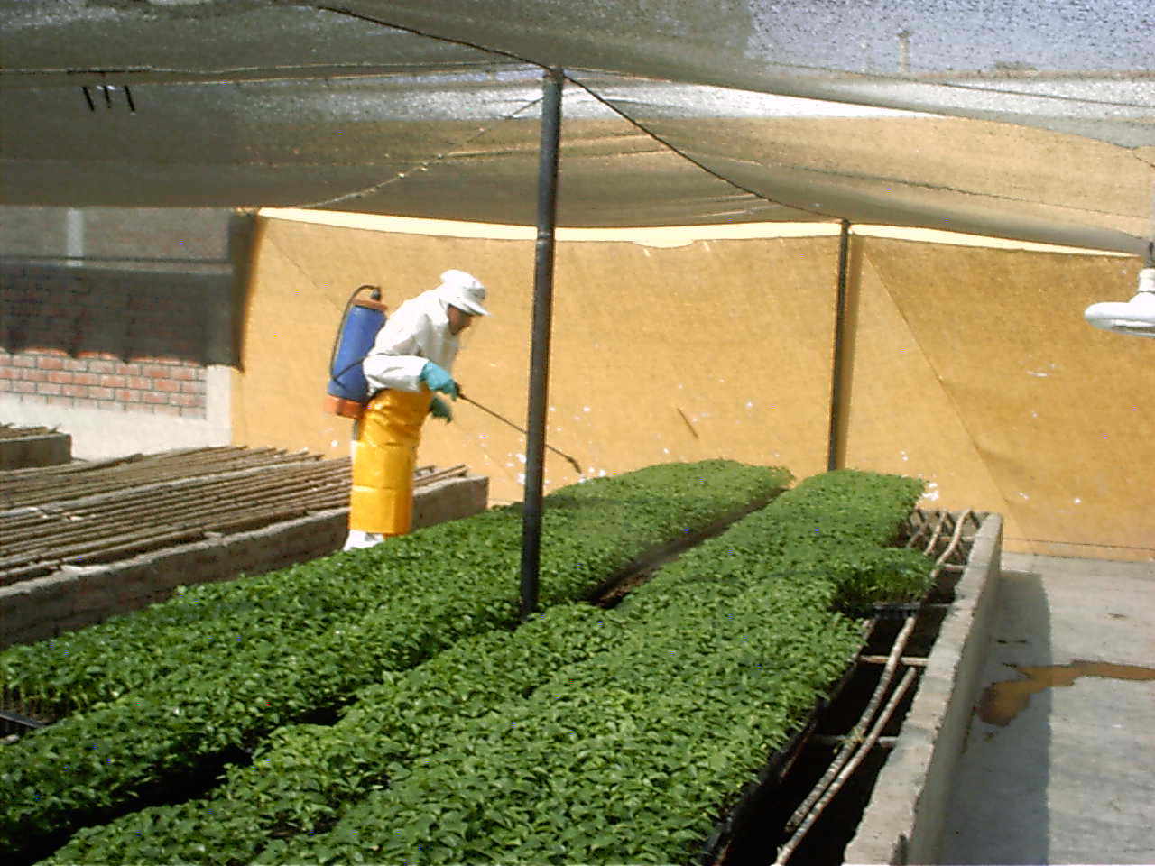 jardineria mundo verde blogger