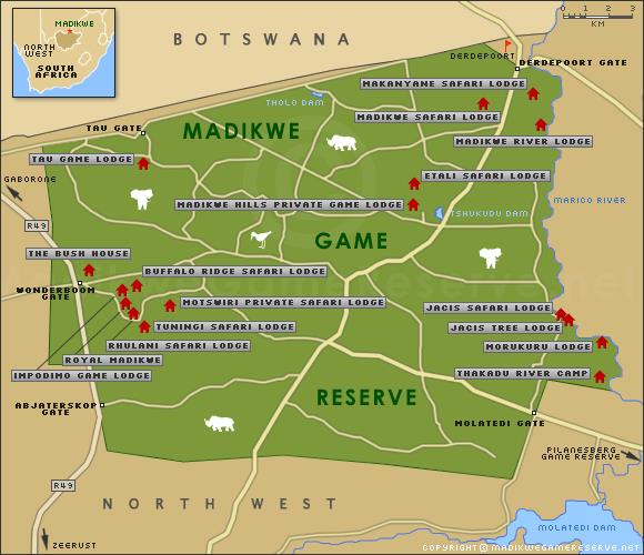 Green Route Africa Spotlight in Madikwe Private Game Reserve