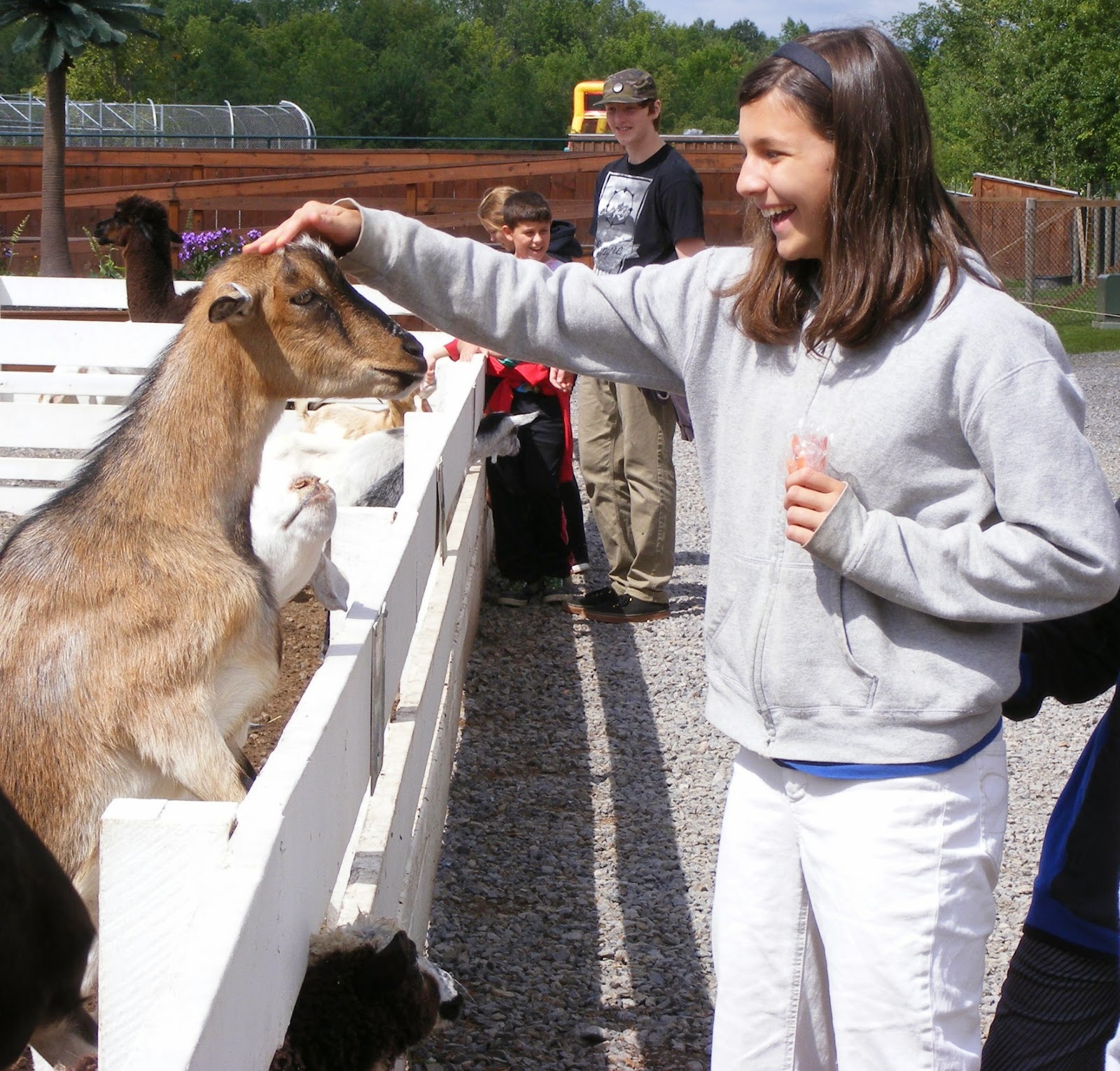 Ten kids and a Dog A Trip to The Wild Animal Experience